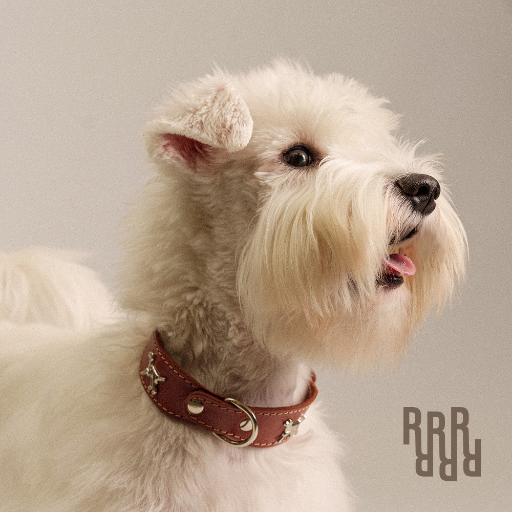 

RURRI Ошейник кожаный Империал для собак, обхват шеи 30-42 см, ширина 20-37 мм, коричневый