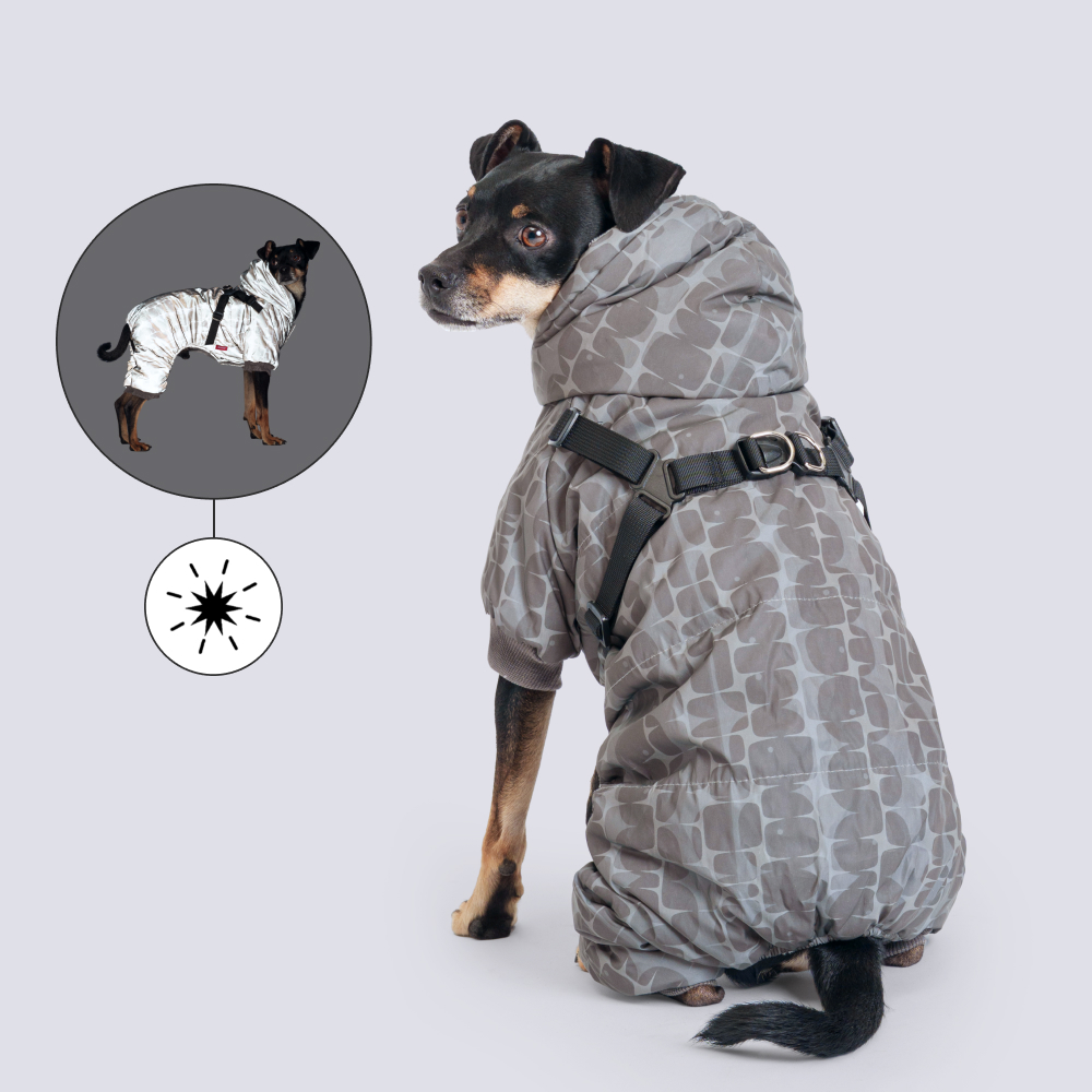 

Petmax Комбинезон светоотражающий с принтом для собак, , серый