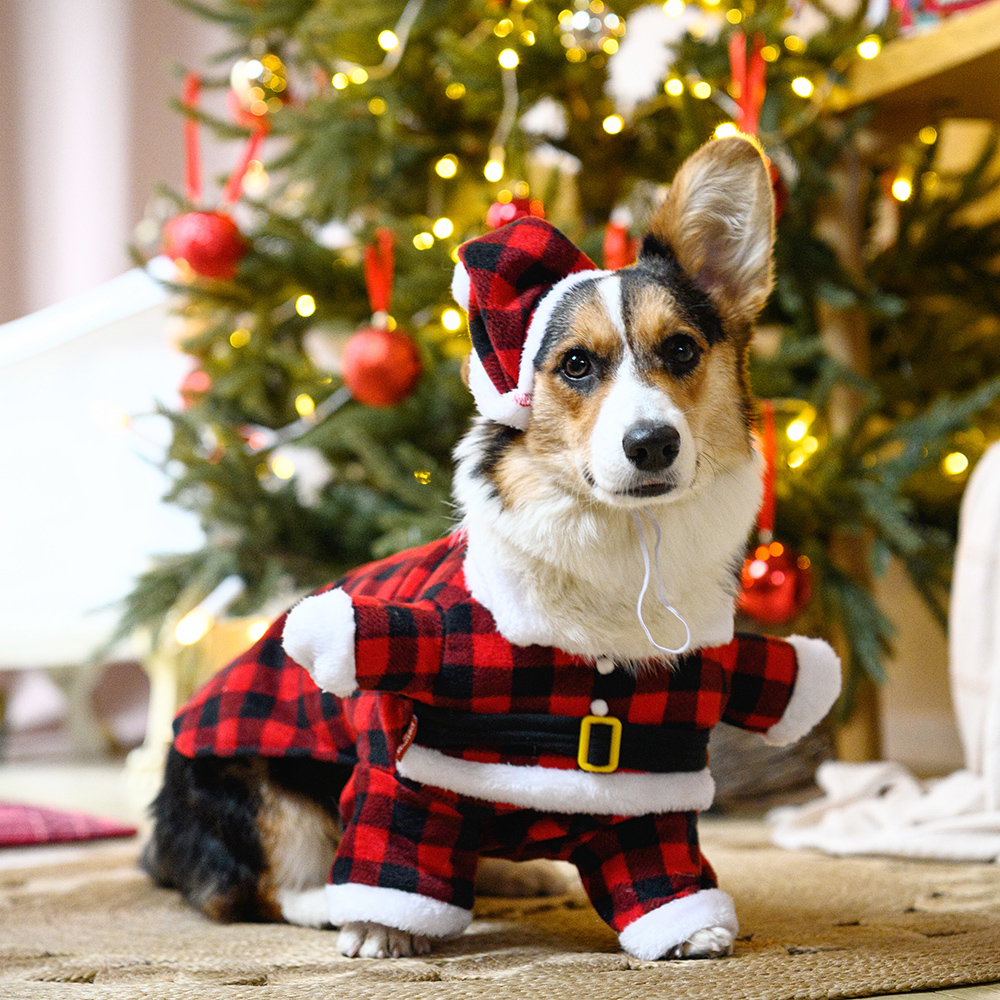 

Petmax Костюм новогодний с колпаком Дед Мороз для собак, , красный