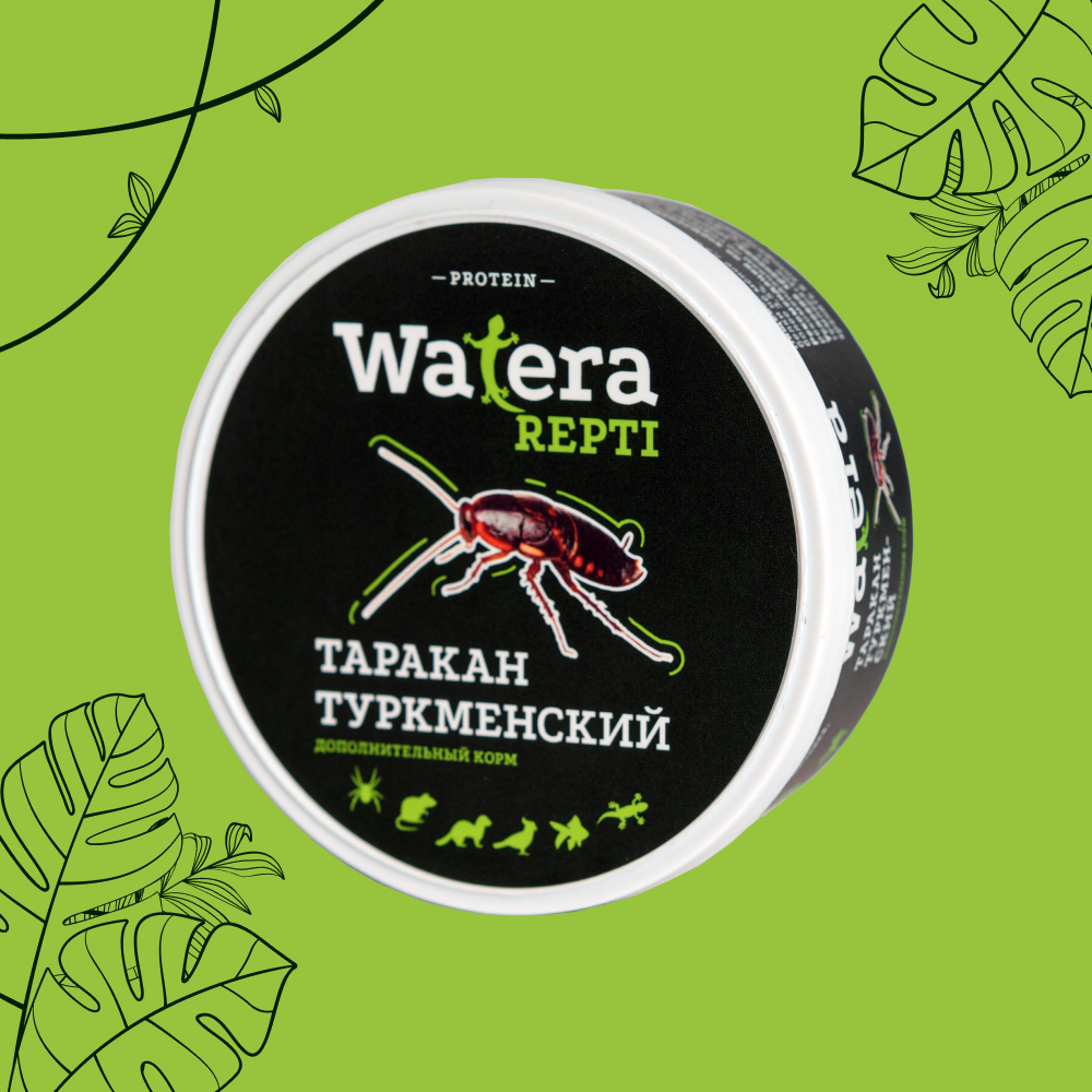 

WATERA Таракан туркменский консервированный для рептилий, грызунов, птиц и рыб, 40 гр.