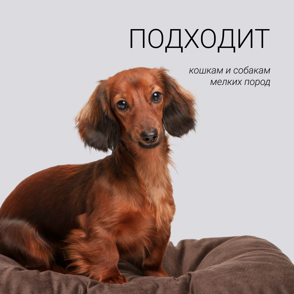 

RURRI Матрас овальный для кошек и собак мелких пород, , цвет в ассортименте, Разноцветный