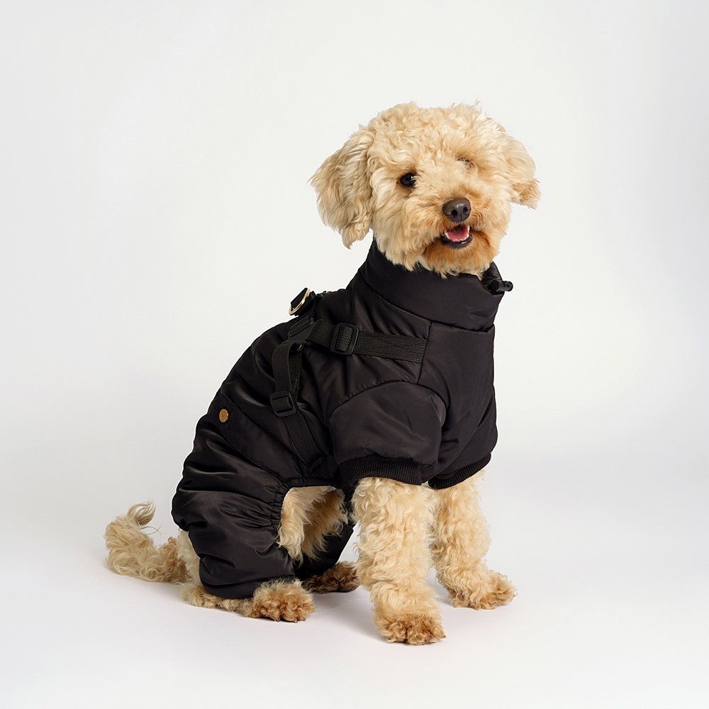 

RURRI Комбинезон на замке со шлейкой для собак, , черный