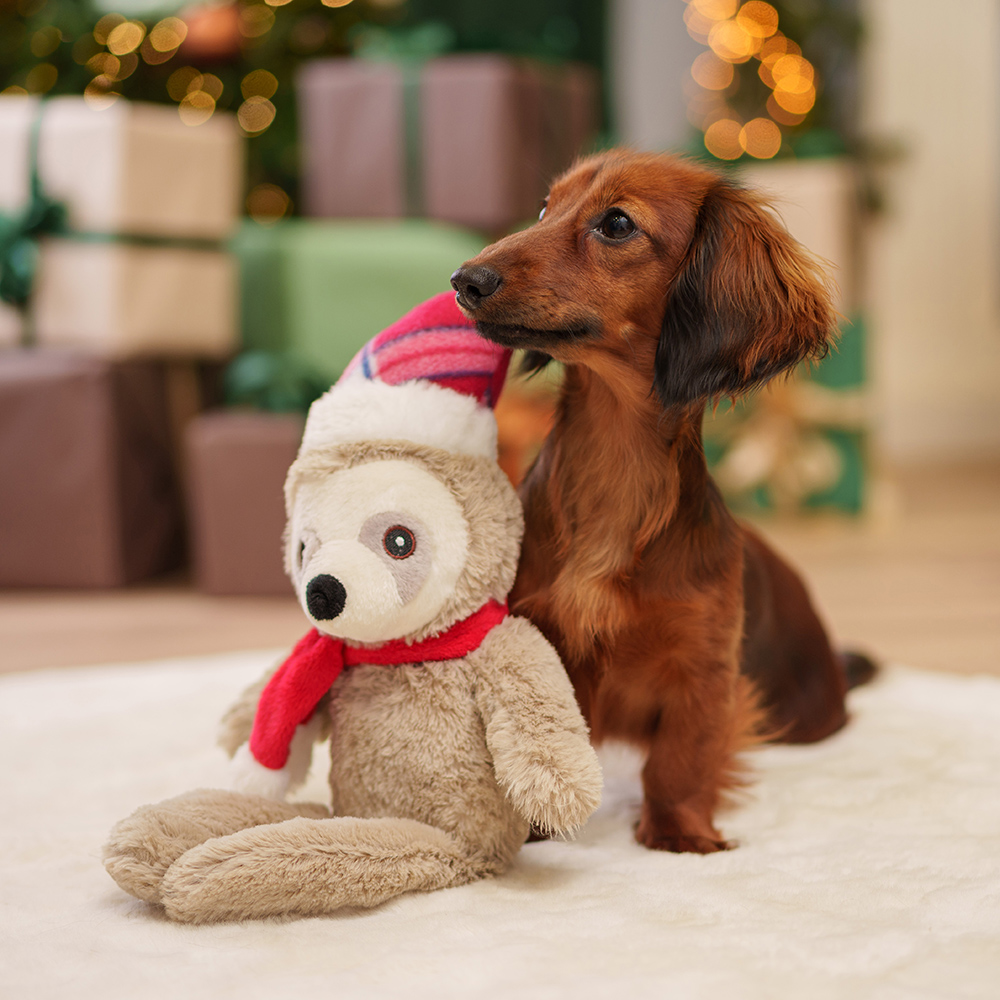 

RURRI Игрушка для собак New Year Ленивец, 43х20х10 см, Разноцветный