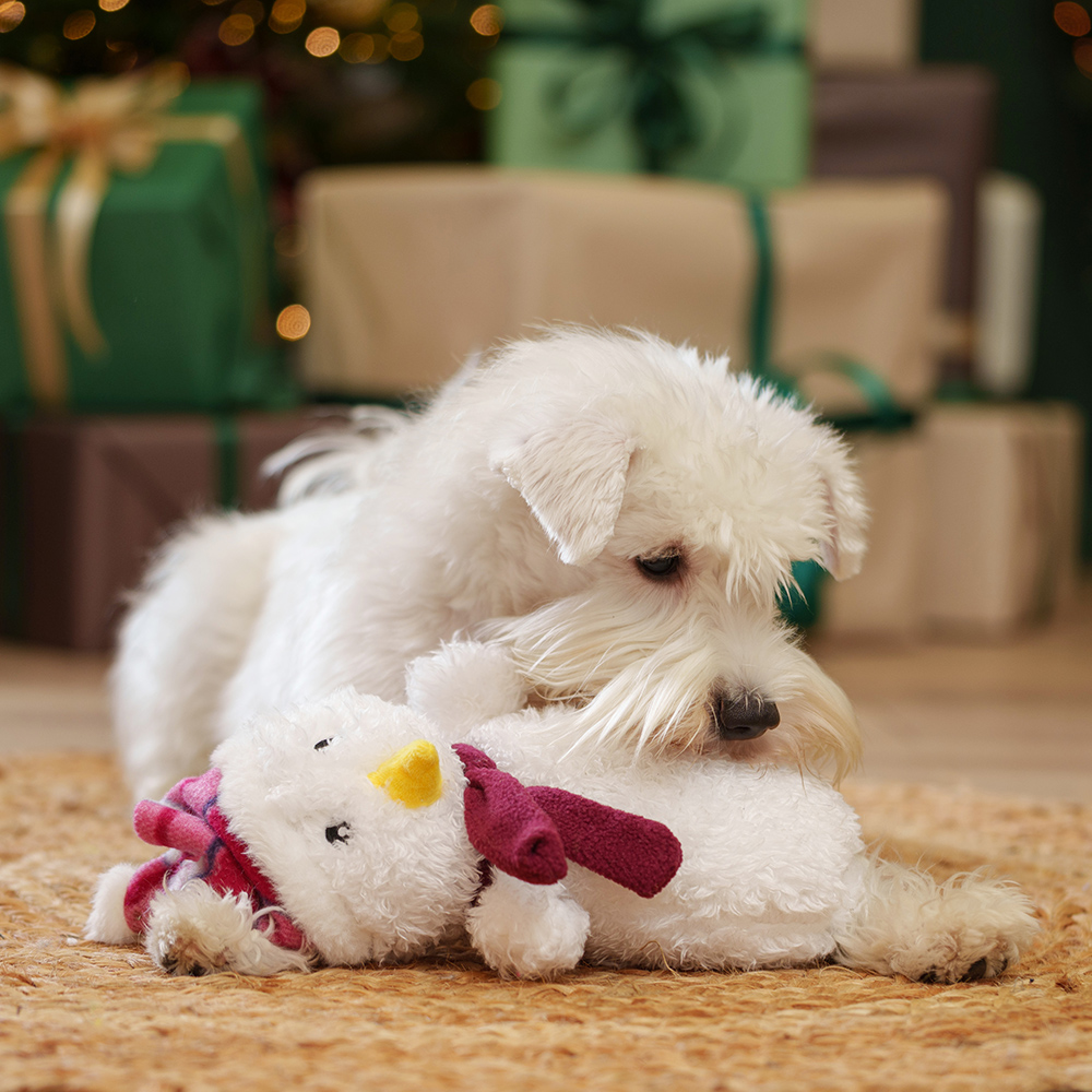 

RURRI Игрушка для собак New Year Снеговик, 25х18х8 см, Разноцветный