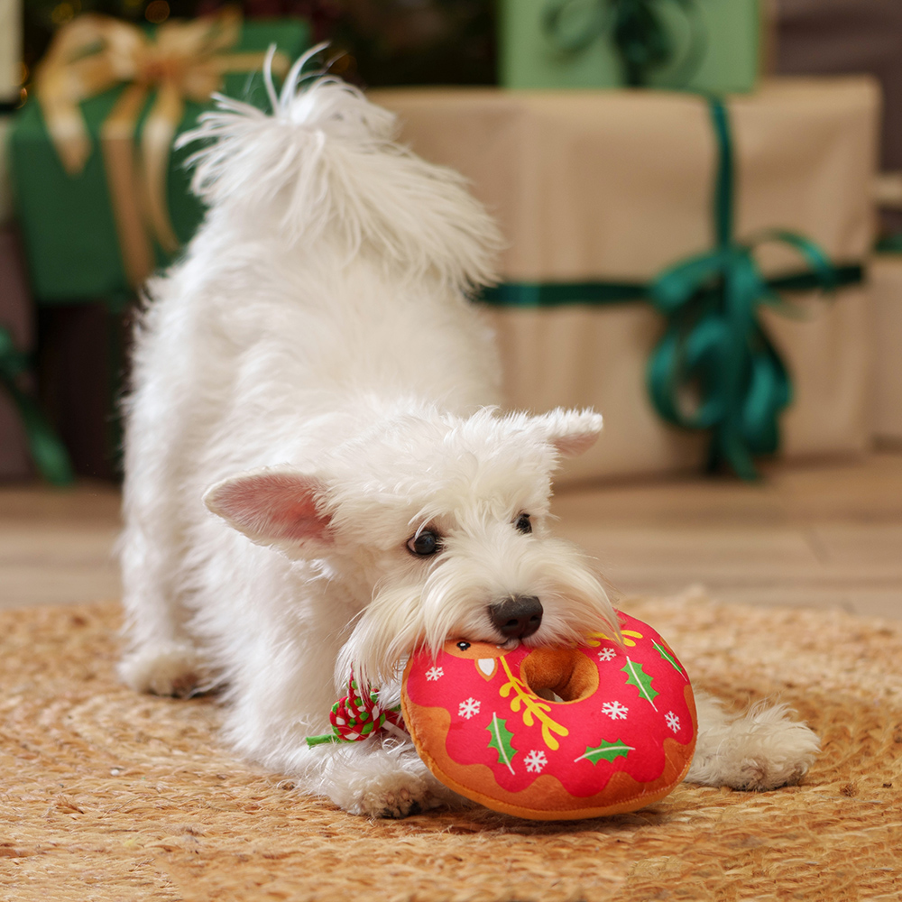 

RURRI Игрушка для собак Пончик, Разноцветный