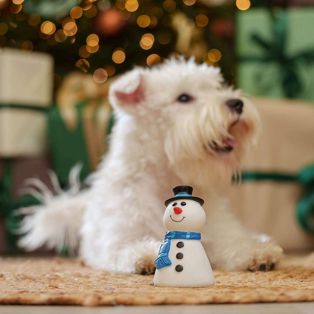 

RURRI Игрушка для собак Снеговик, 7,5х7,5х12 см, Разноцветный