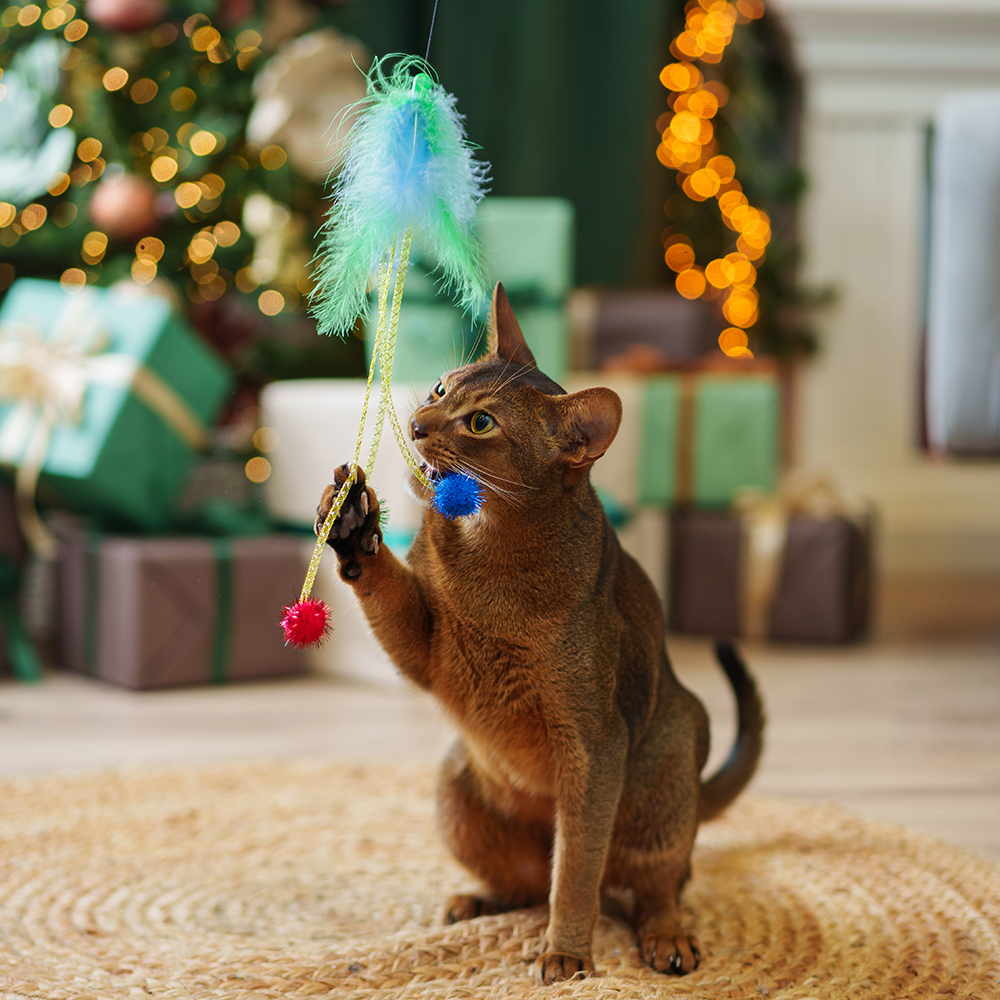 

RURRI Игрушка-дразнилка с перьями для кошек, длина игрушки 27 см , длина палки 36,5 см, Разноцветный