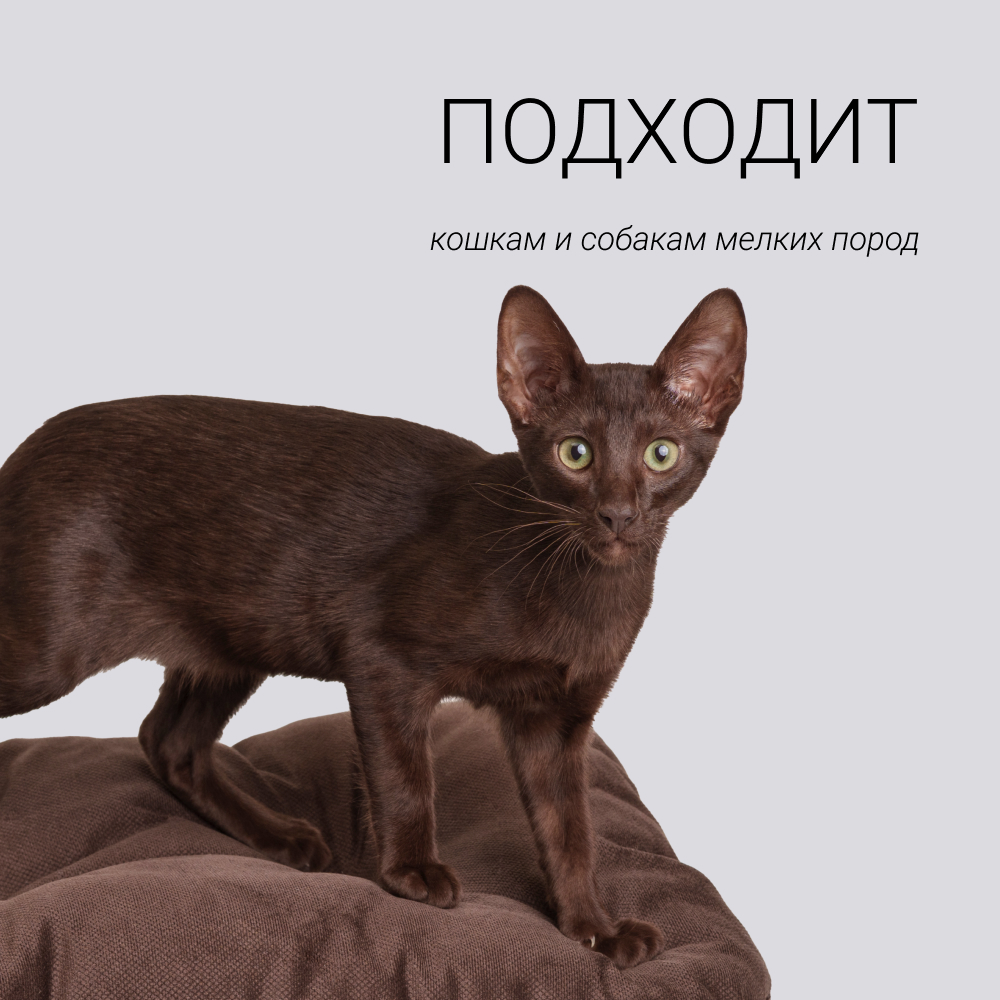 

RURRI Матрас овальный для кошек и собак мелких пород, Разноцветный