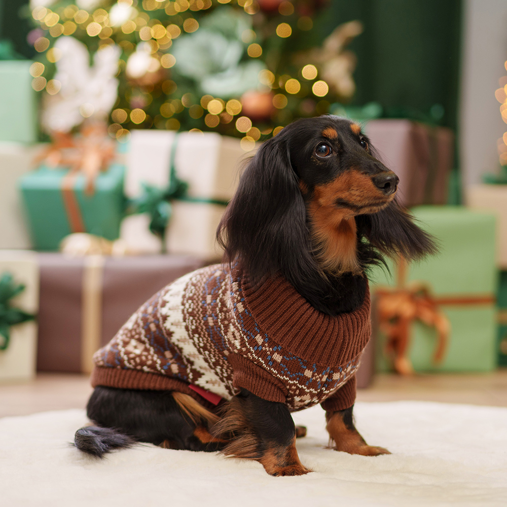 Petmax Свитер с узорами для кошек и собак, L, коричневый