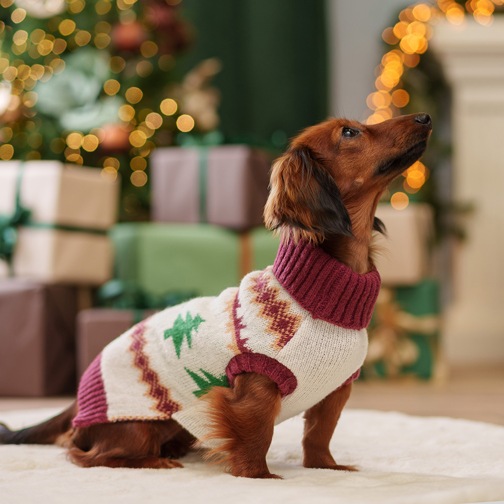 

Petmax Свитер для кошек и собак, , бежевый