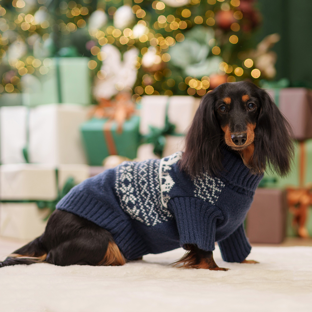 

RURRI Свитер для кошек и собак Снежинки, , синий