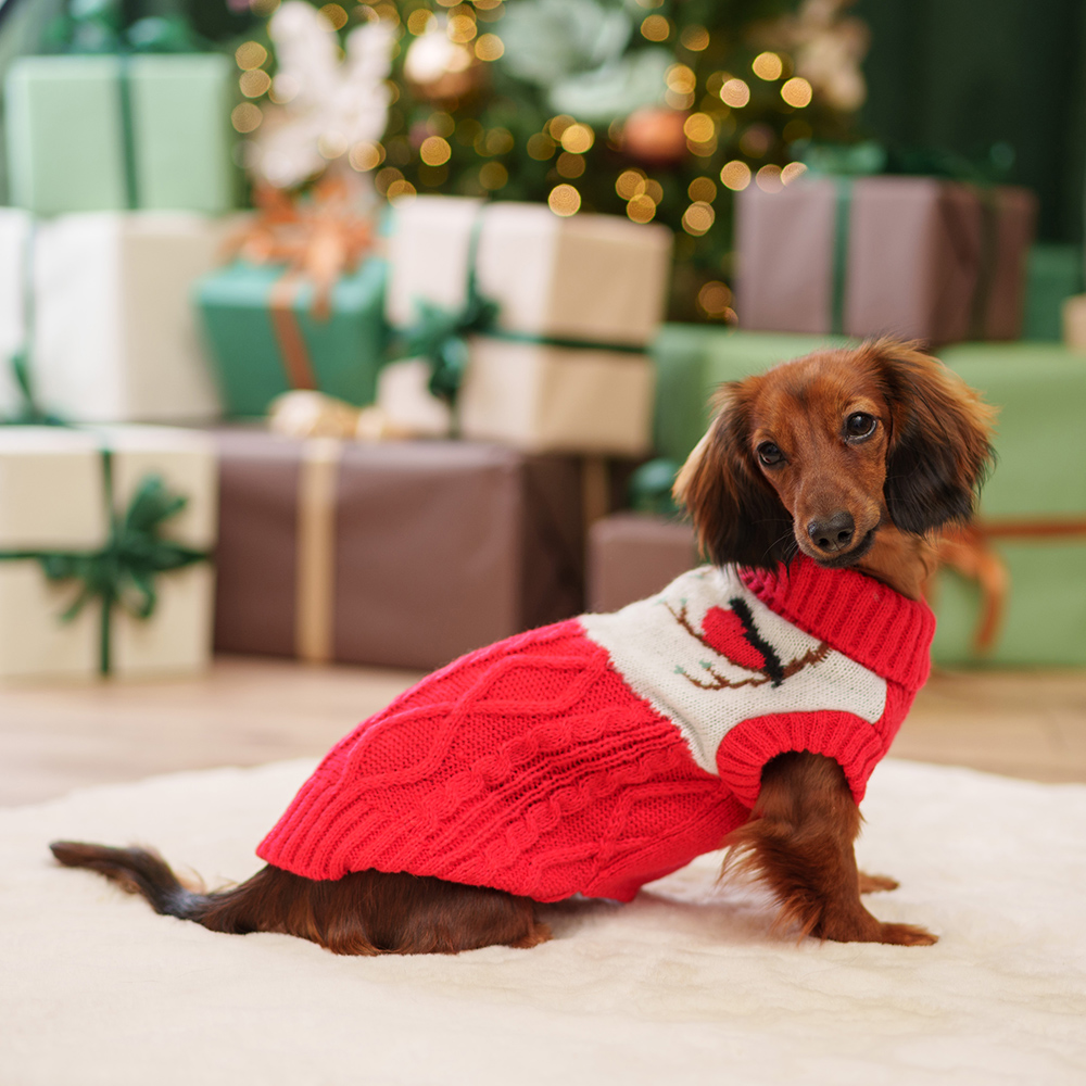 

Petmax Свитер для кошек и собак Снегири, , красный