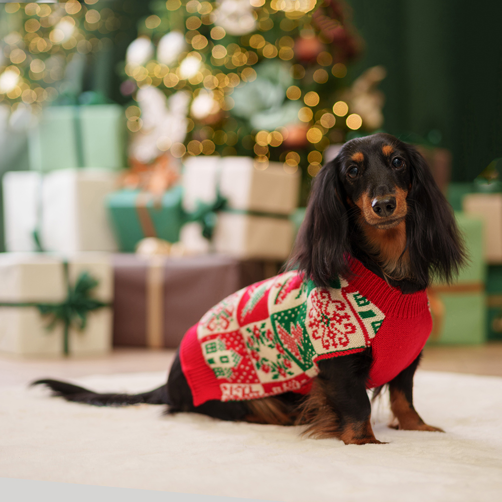 

Petmax Свитер для кошек и собак Птички, , красный