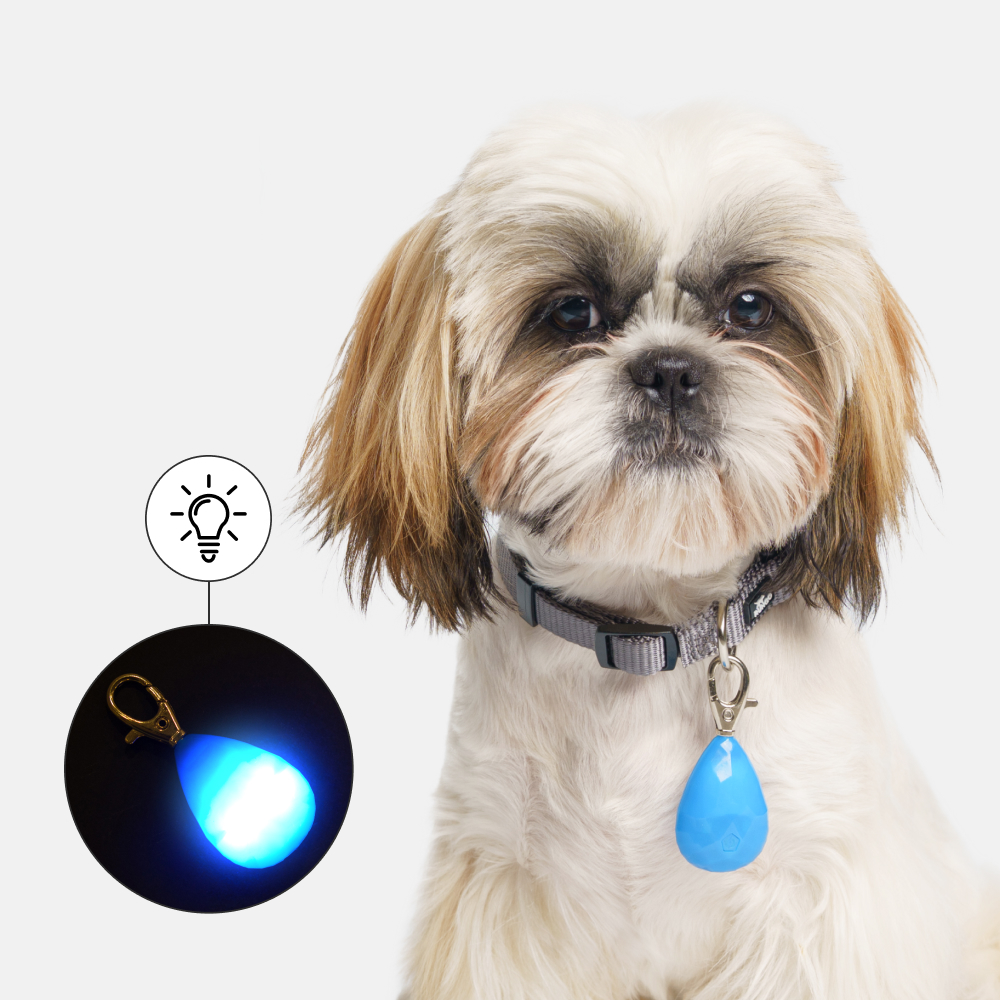

Rungo Маячок светящийся в форме алмаза на ошейник для собак, , голубой