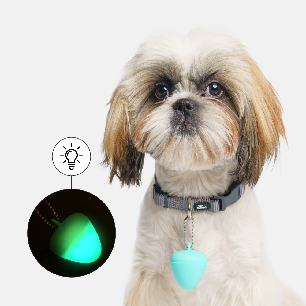 

Rungo Маячок светящийся силиконовый на ошейник для собак, ,, бирюзовый, Голубой