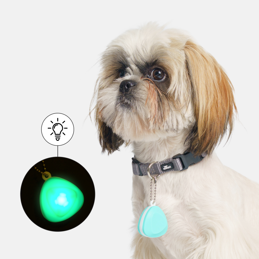 

Rungo Маячок светящийся в форме алмаза силиконовый на ошейник для собак, ,, бирюзовый, Голубой