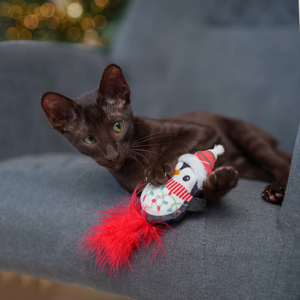 

RURRI Игрушка для кошек Пингвин, 7х3х14 см, Разноцветный