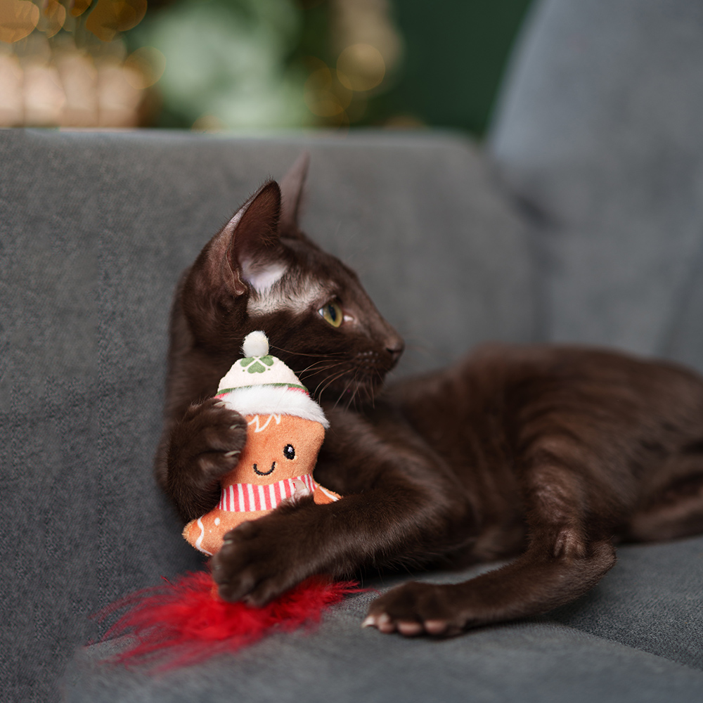 

RURRI Игрушка для кошек Пряничка, 7х3х14 см, Разноцветный