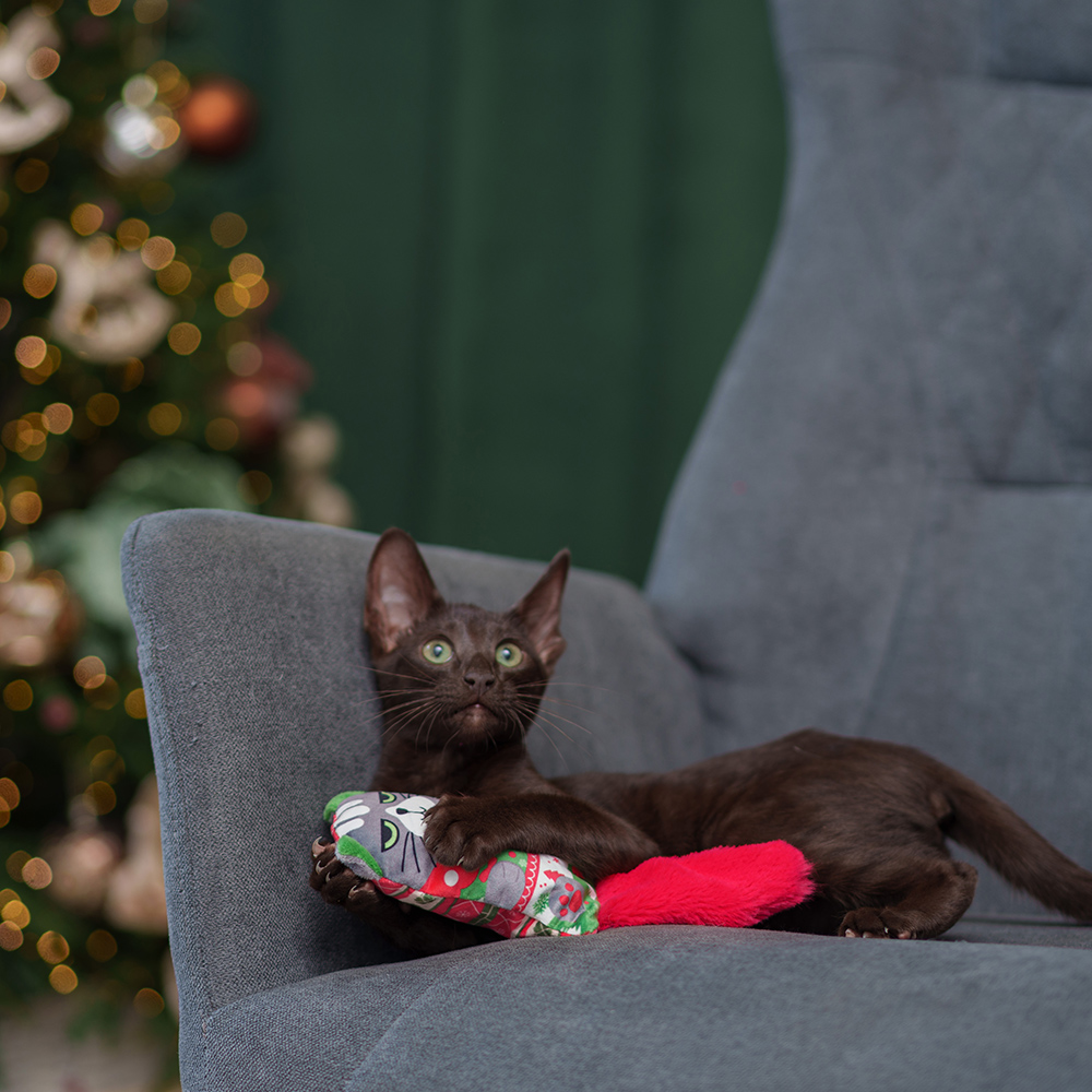 

RURRI Игрушка для кошек Котик, 8х4х22 см, Разноцветный