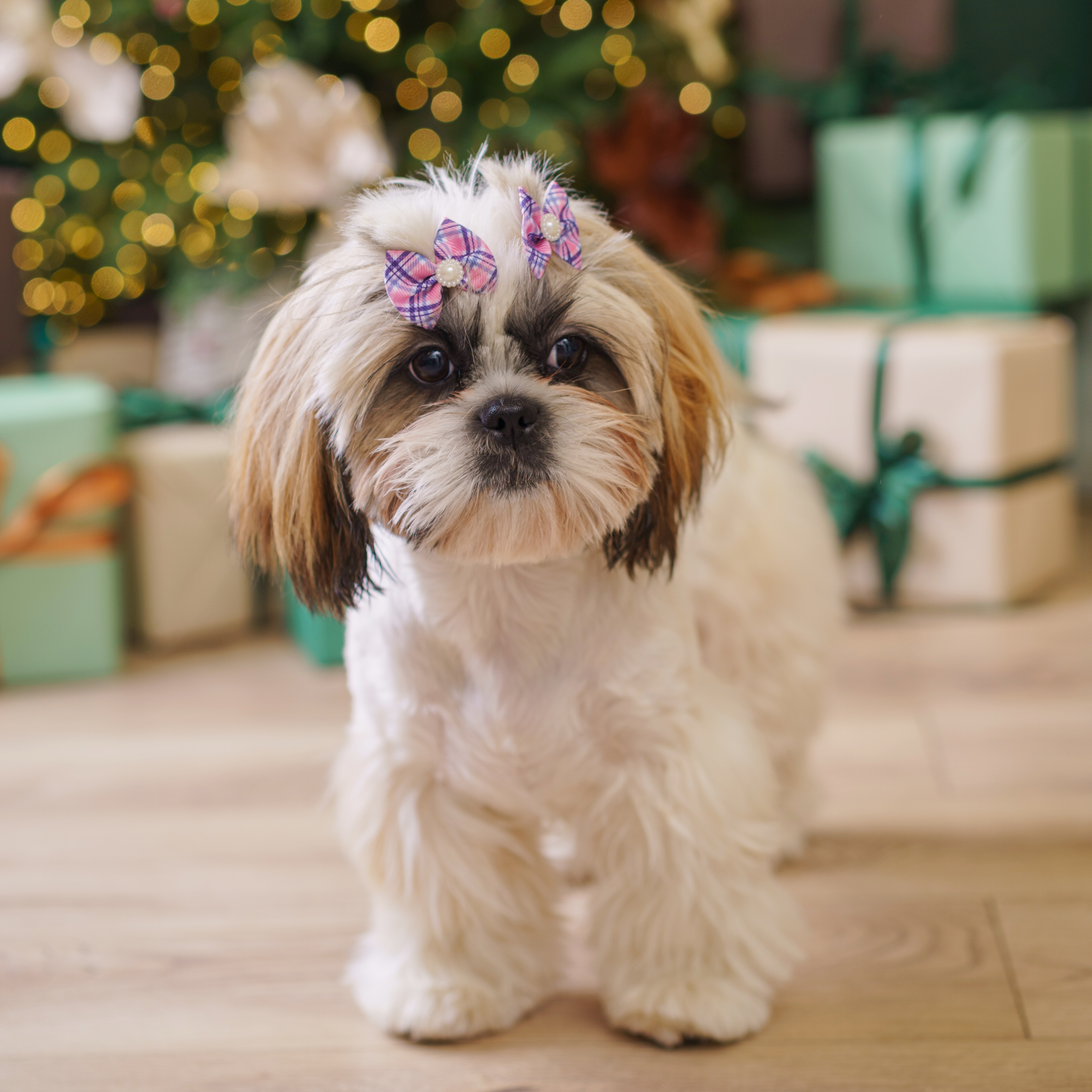 

Petmax Бантики-заколки для собак, 4х3 см, розово-синий, 2 шт., Розовый