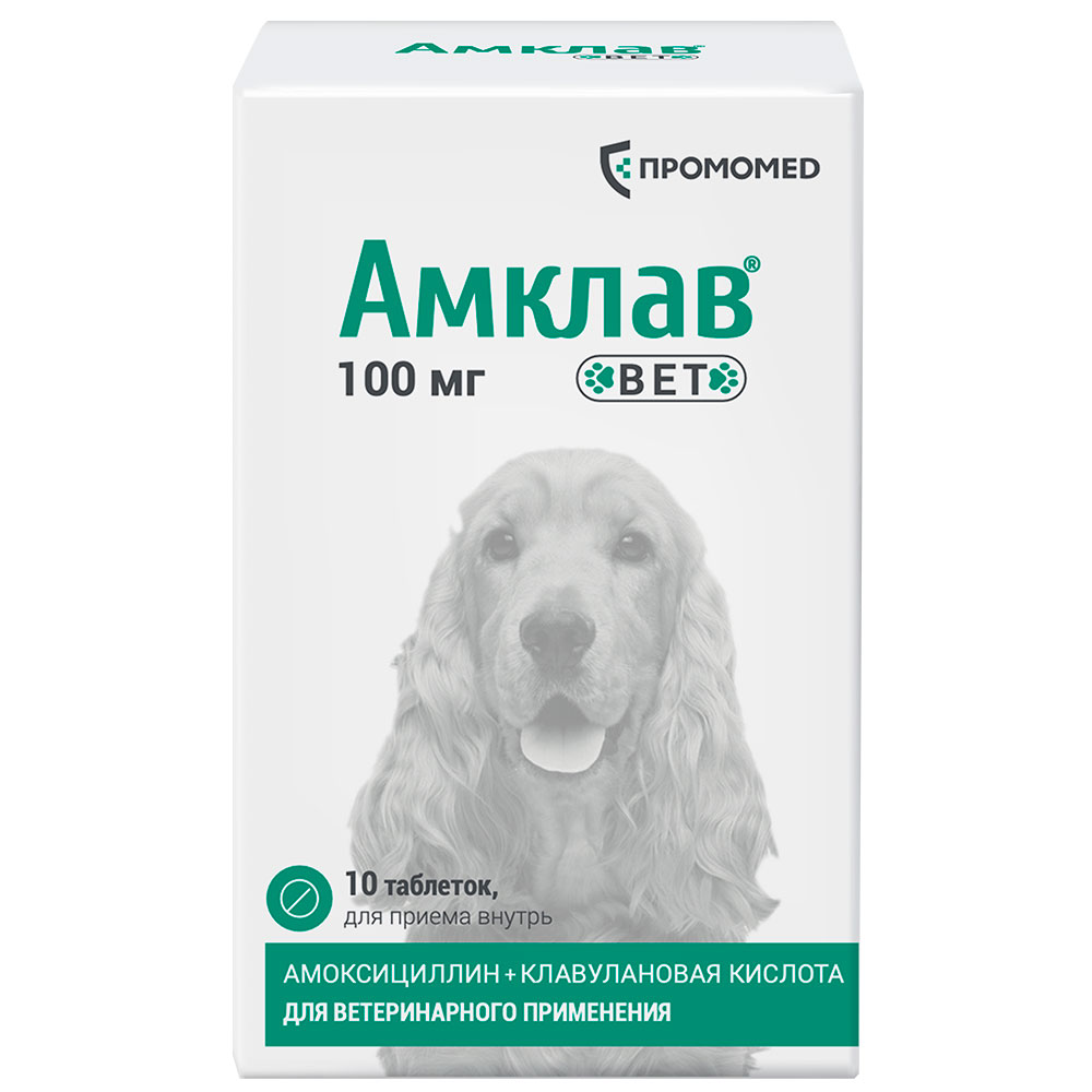 

ПРОМОМЕД Амклав Вет Антибактериальный препарат для кошек и собак 100 мг, 10 таблеток (по рецепту)