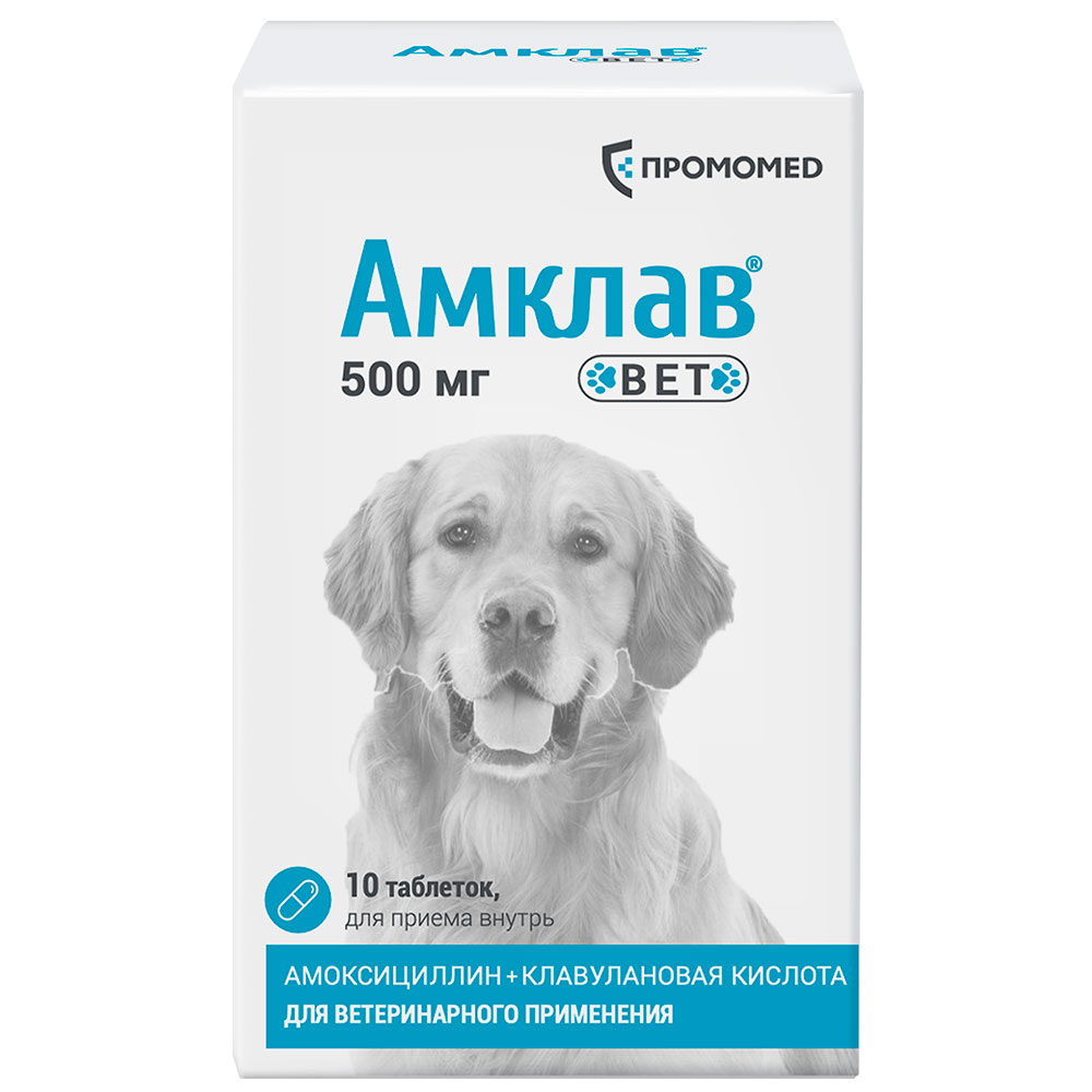 

ПРОМОМЕД Амклав Вет Антибактериальный препарат для кошек и собак 500 мг, 10 таблеток (по рецепту)
