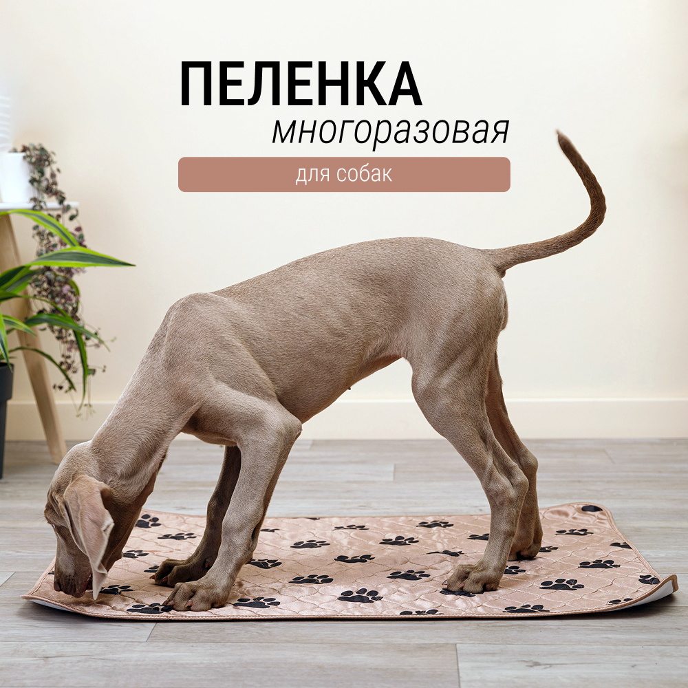 

Higeniq Пеленка многоразовая  для собак, бежевая, Бежевый