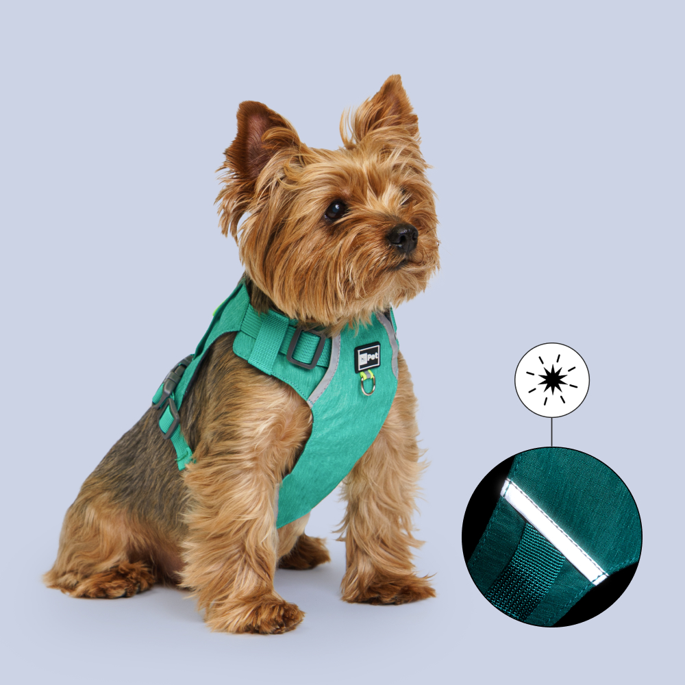 

HiPet Шлейка для собак Ultralight, , обхват шеи 28-33 см, обхват груди 32-40 см, зеленый