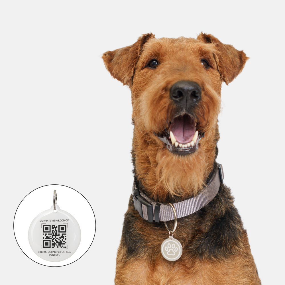 

RURRI Адресник с QR-кодом для кошек и собак Лапка, диаметр 2,5 см, бежевый