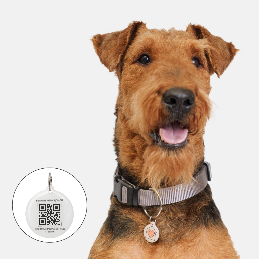 

RURRI Адресник с QR-кодом для кошек и собак Дом, диаметр 3,5 см, бежевый