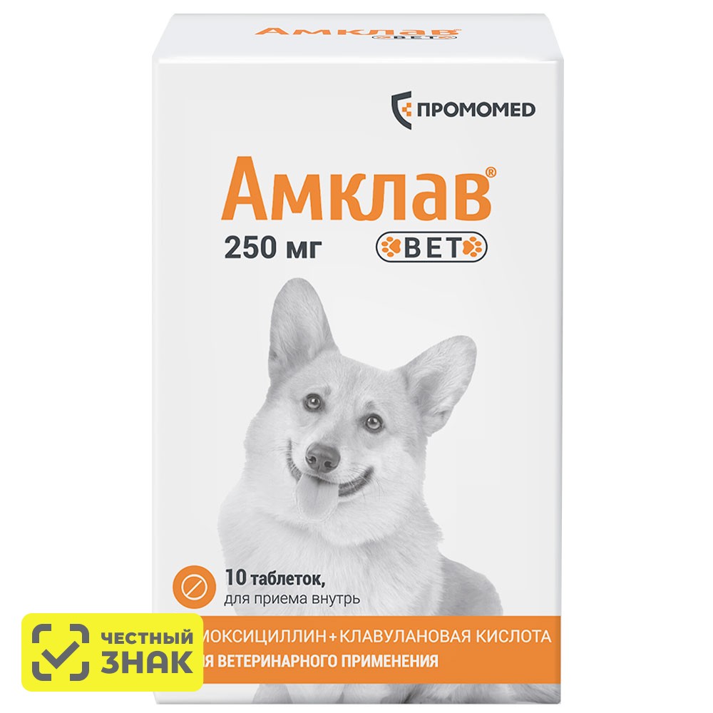 

ПРОМОМЕД Амклав Вет Антибактериальный препарат для кошек и собак 250 мг, 10 таблеток (по рецепту)
