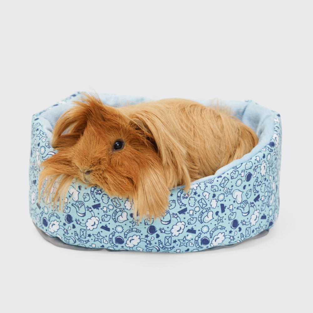 

Petmax Лежанка для грызунов Лайк, 24х15х11 см, голубой