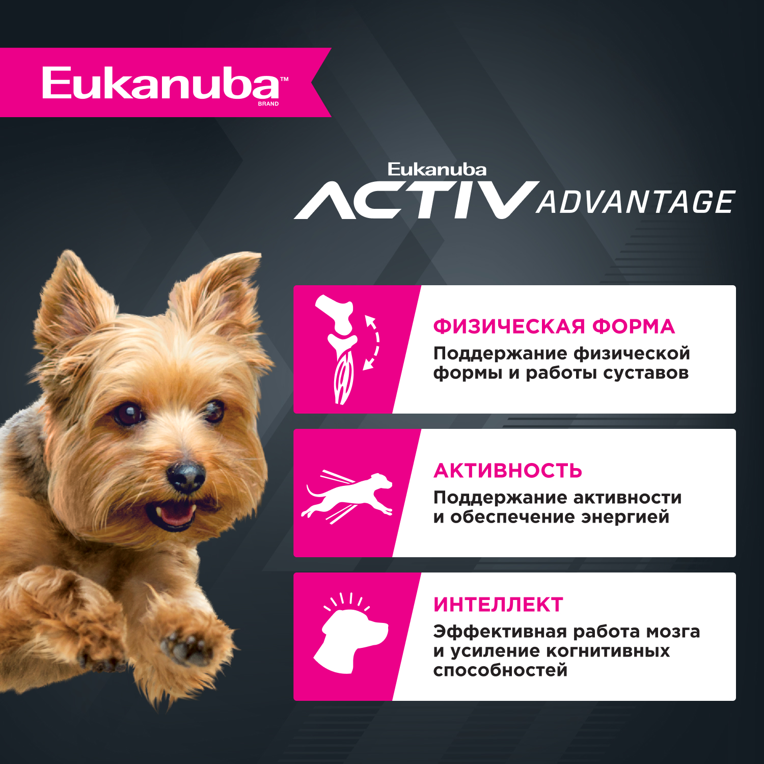 

Eukanuba Adult Toy Breed Сухой корм для щенков миниатюрных пород, с птицей, 500 гр.
