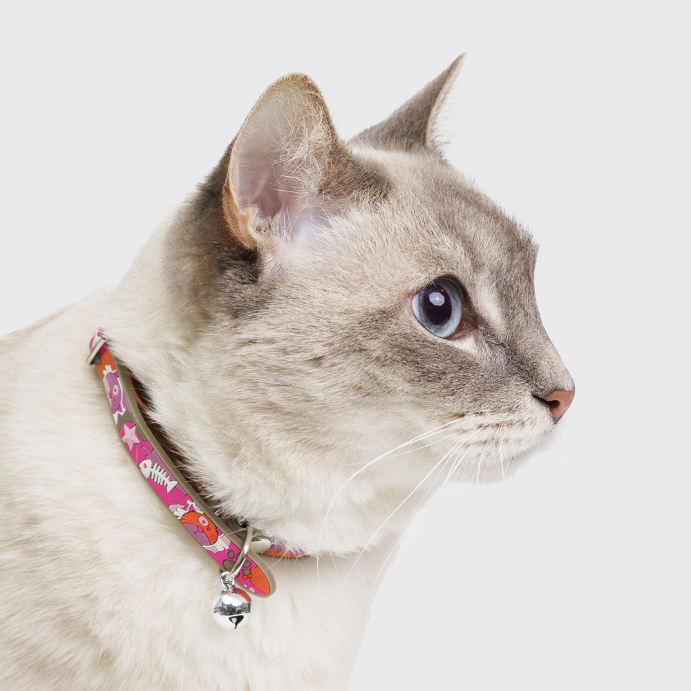 

Petmax Ошейник резиновый для кошек, длина шеи , ширина 10 см, розовый