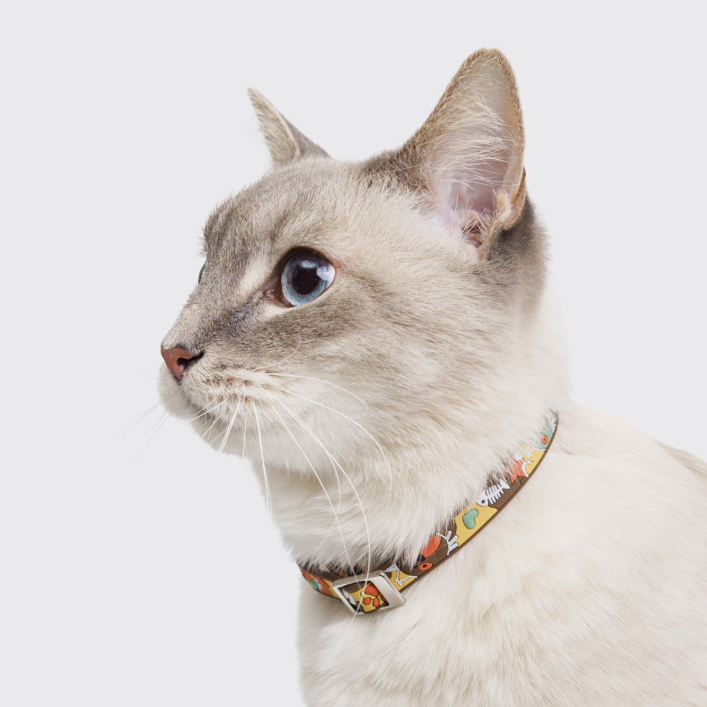 

Petmax Ошейник резиновый для кошек, длина шеи , ширина 10 см, желтый