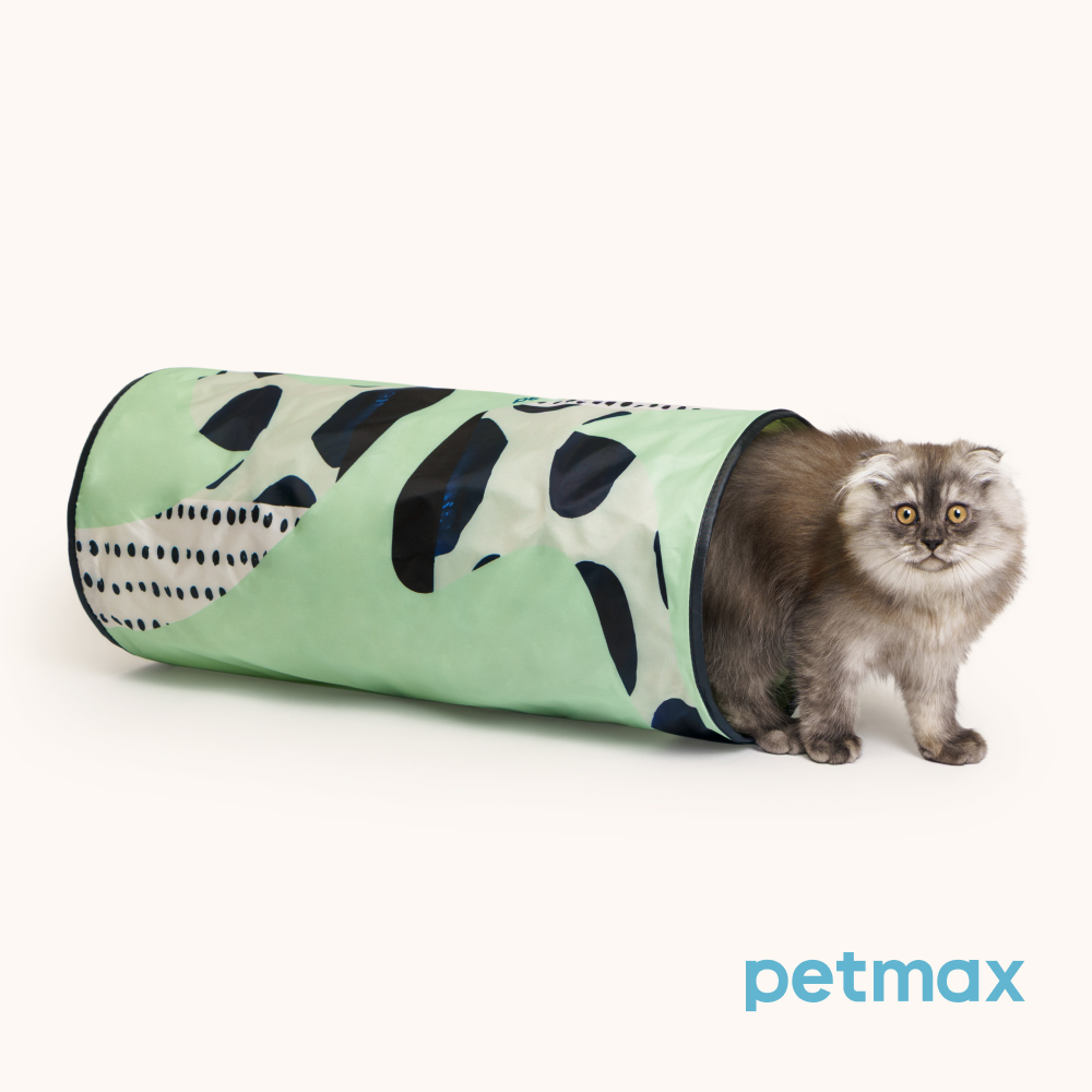 

RURRI Тоннель с шуршащим элементом для кошек, 25х56см, зеленый