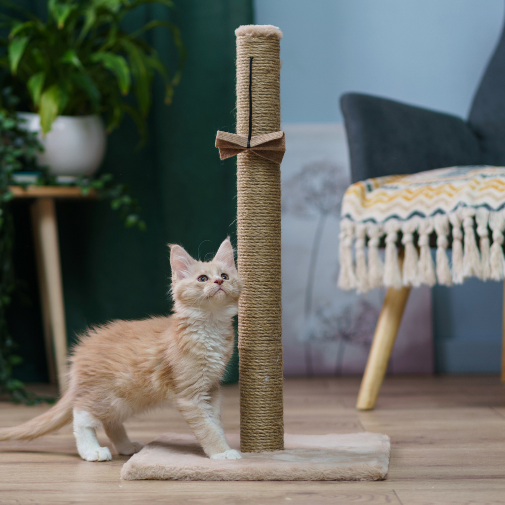 

Домоседы Когтеточка-столбик (35х35х61 см) для кошек, бежевый