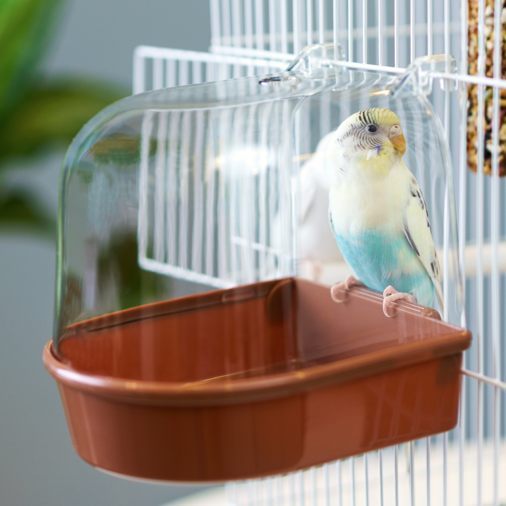 Petmax Купалка для птиц, 14х14х14 см