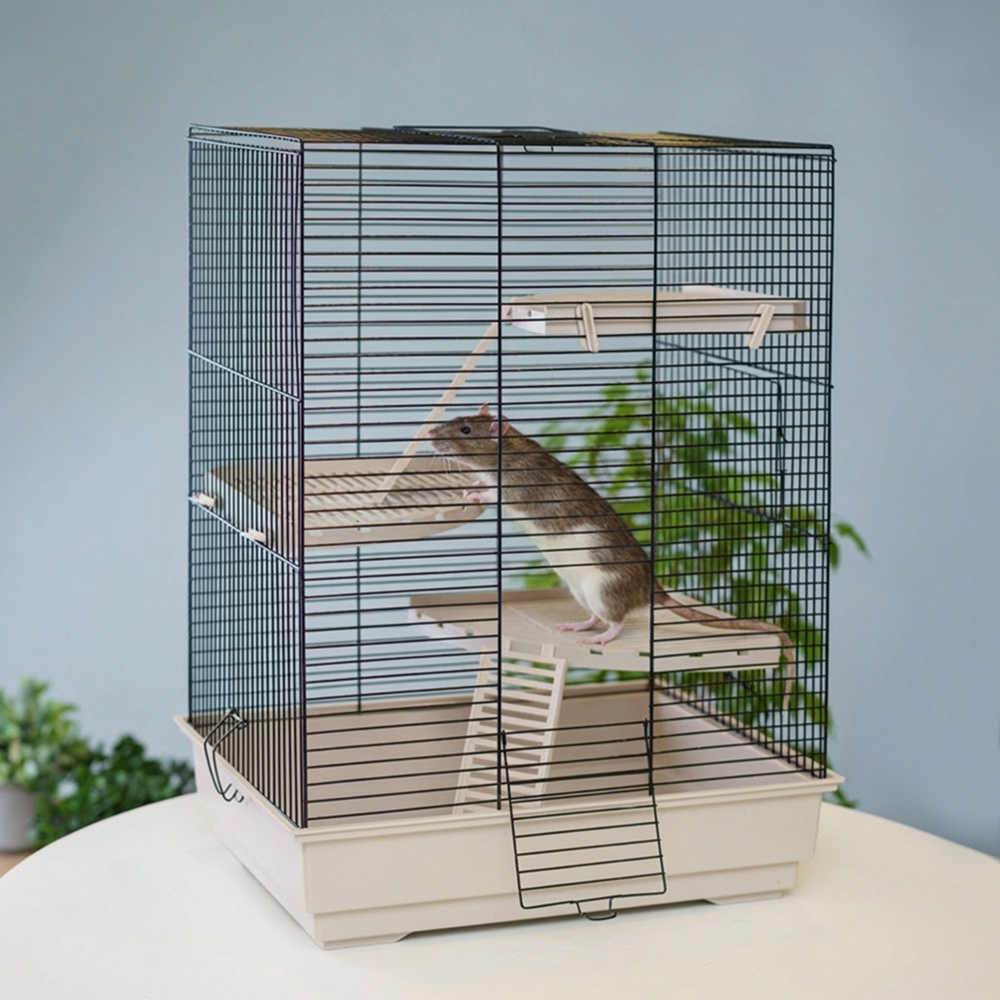 

Petmax Клетка для крыс и дегу Лилу, , бежевый