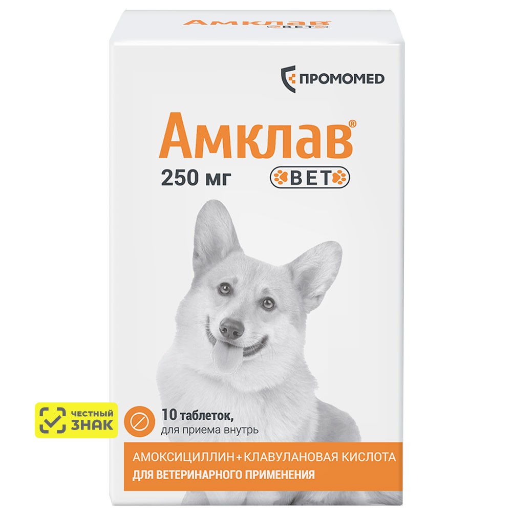 

ПРОМОМЕД Амклав Вет Антибактериальный препарат для кошек и собак 250 мг, 10 таблеток (по рецепту)