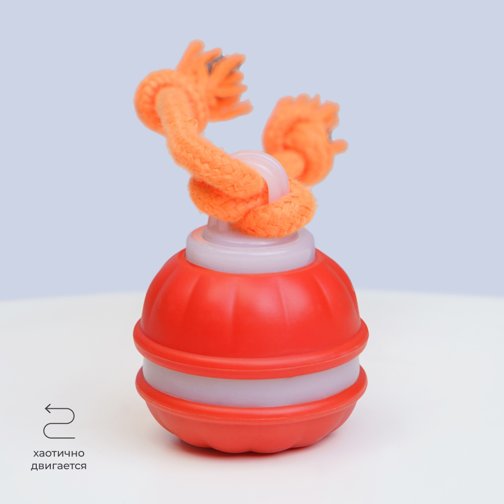 

HiPet Игрушка интерактивная с канатом для собак, , длина каната 11 см, цвет в ассортименте, Разноцветный