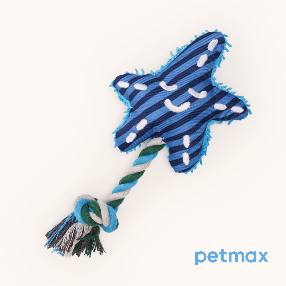 Petmax Игрушка для собак мелких и средних пород Морская звезда, 20х15 см, цвет в ассортименте