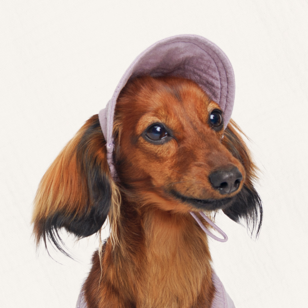 

RURRI Кепка муслиновая для собак, , лавандовый, Голубой