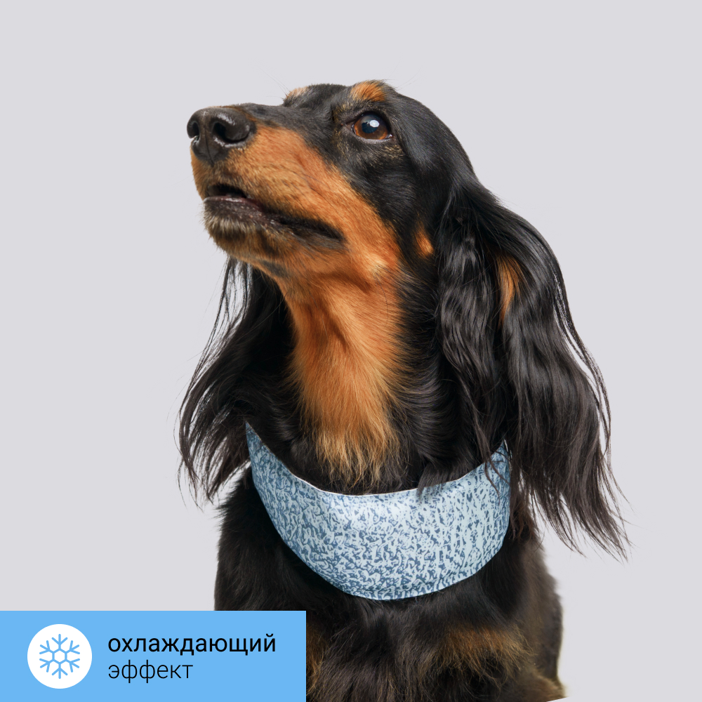 RURRI Бандана охлаждающая для собак, M, голубой