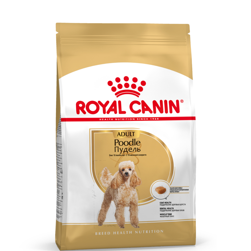 Royal Canin Сухой корм для взрослых собак породы пудель