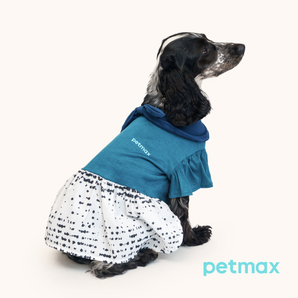 Petmax Платье для кошек и собак, XL, синий