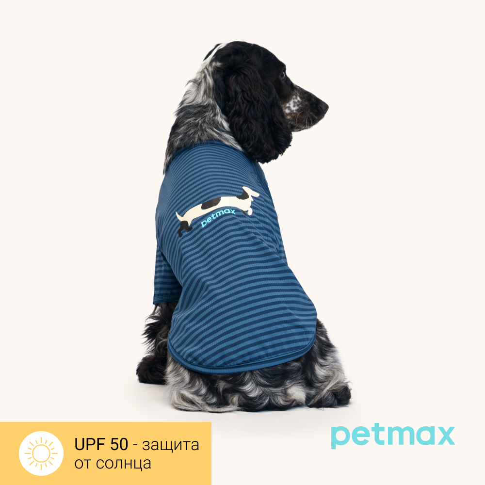 

Petmax Футболка с принтом собаки для кошек и собак Cool, , синий