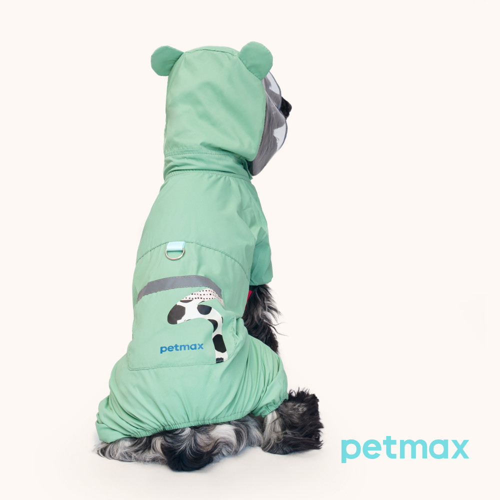 Petmax Дождевик-комбинезон с капюшоном для собак, 2XL, зеленый
