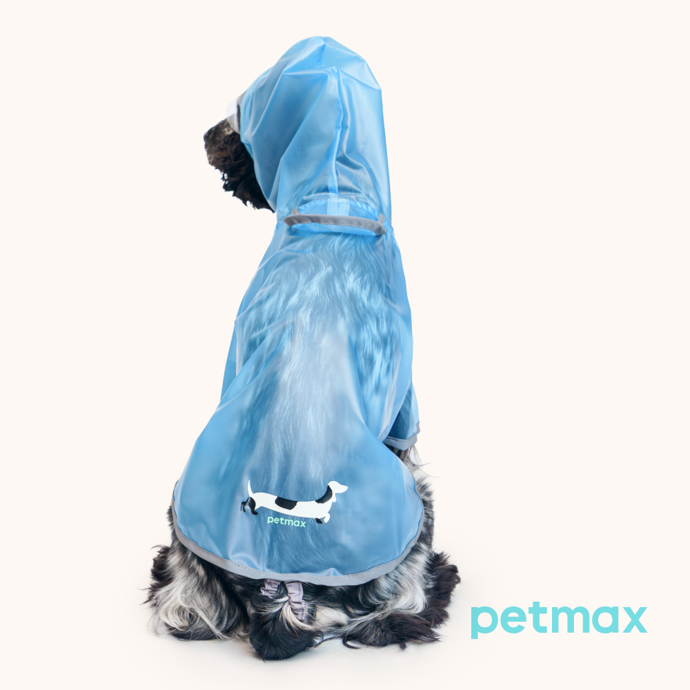 Petmax Дождевик с капюшоном для собак, 2XL, голубой
