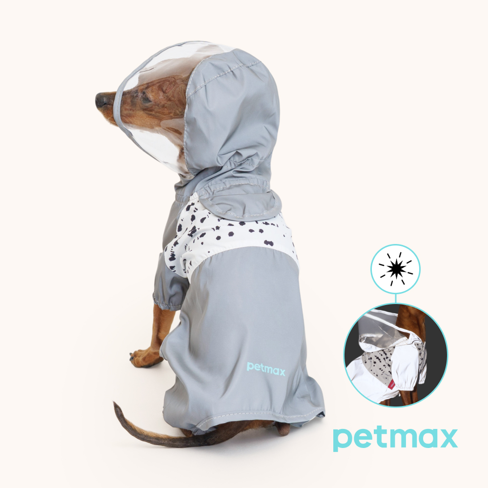 Petmax Дождевик с капюшоном для собак, M, серый